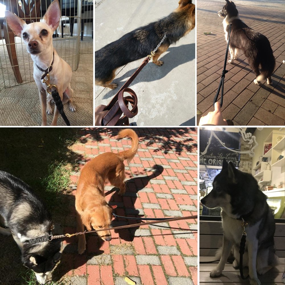 Beirui de Berry Pet: dimensiones 120 cm por 1,2 cm para ajuste cómodo