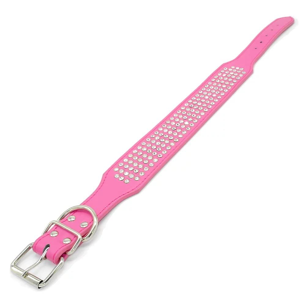 Berry Pet collar ajustable con cinco ojales para un ajuste seguro