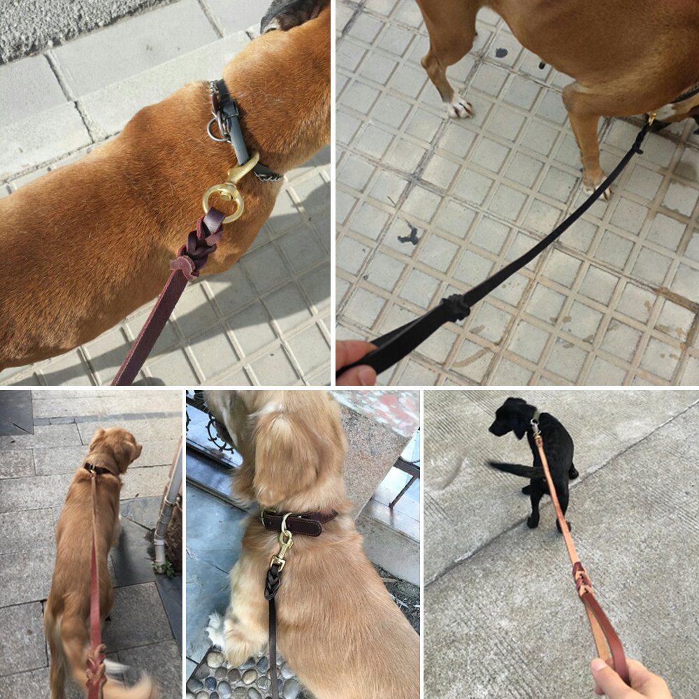 Berry Pet: correa de cuero premium, estilo clásico para paseos y entrenamientos.