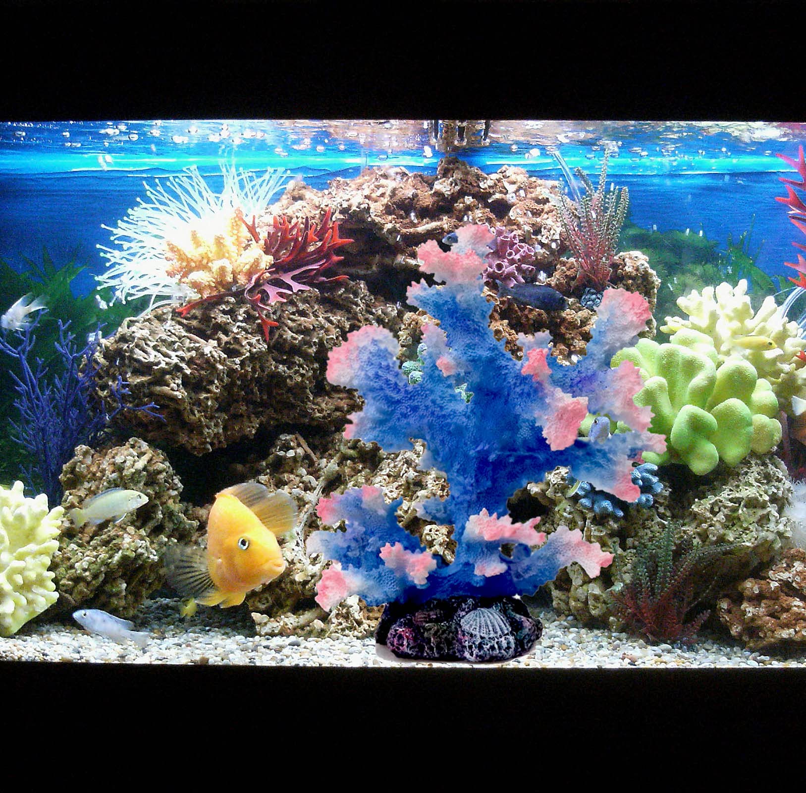 Besimple accesorio decorativo acuario coral: complemento versátil para la decoración.