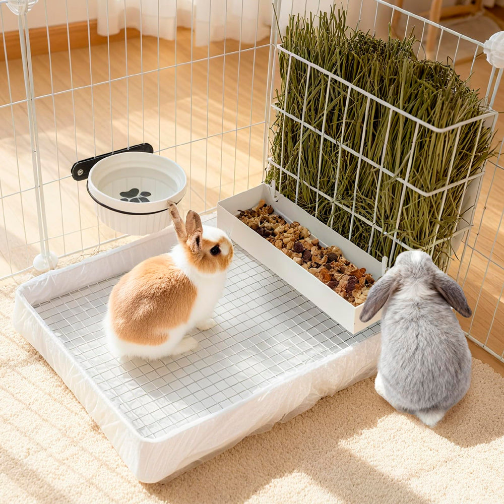 BESNEW regalo ideal para mascotas pequeñas.
