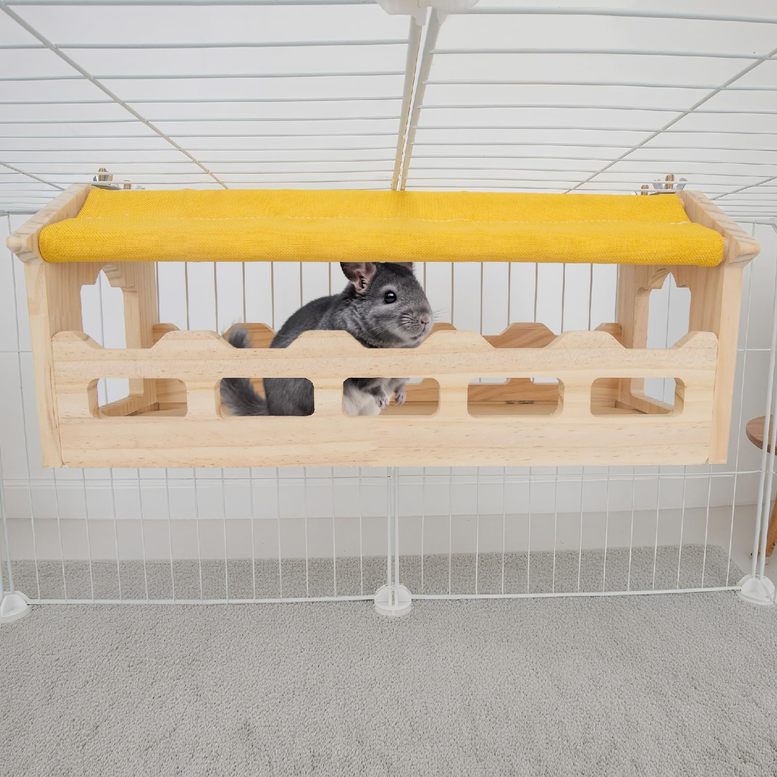 Besnew uso multi-especie: compatible con chinchillas, hámsteres y conejos.