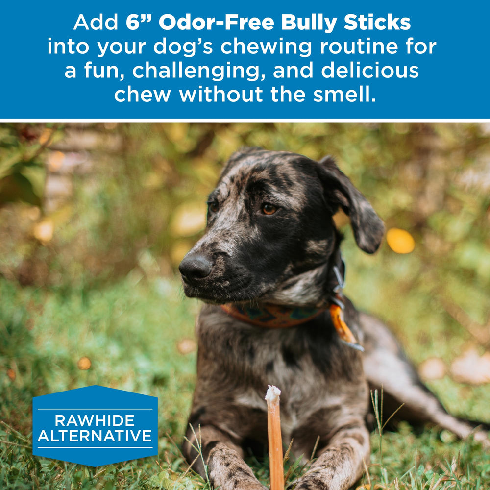 Best Bully Sticks: ideal para razas grandes y masticadores activos