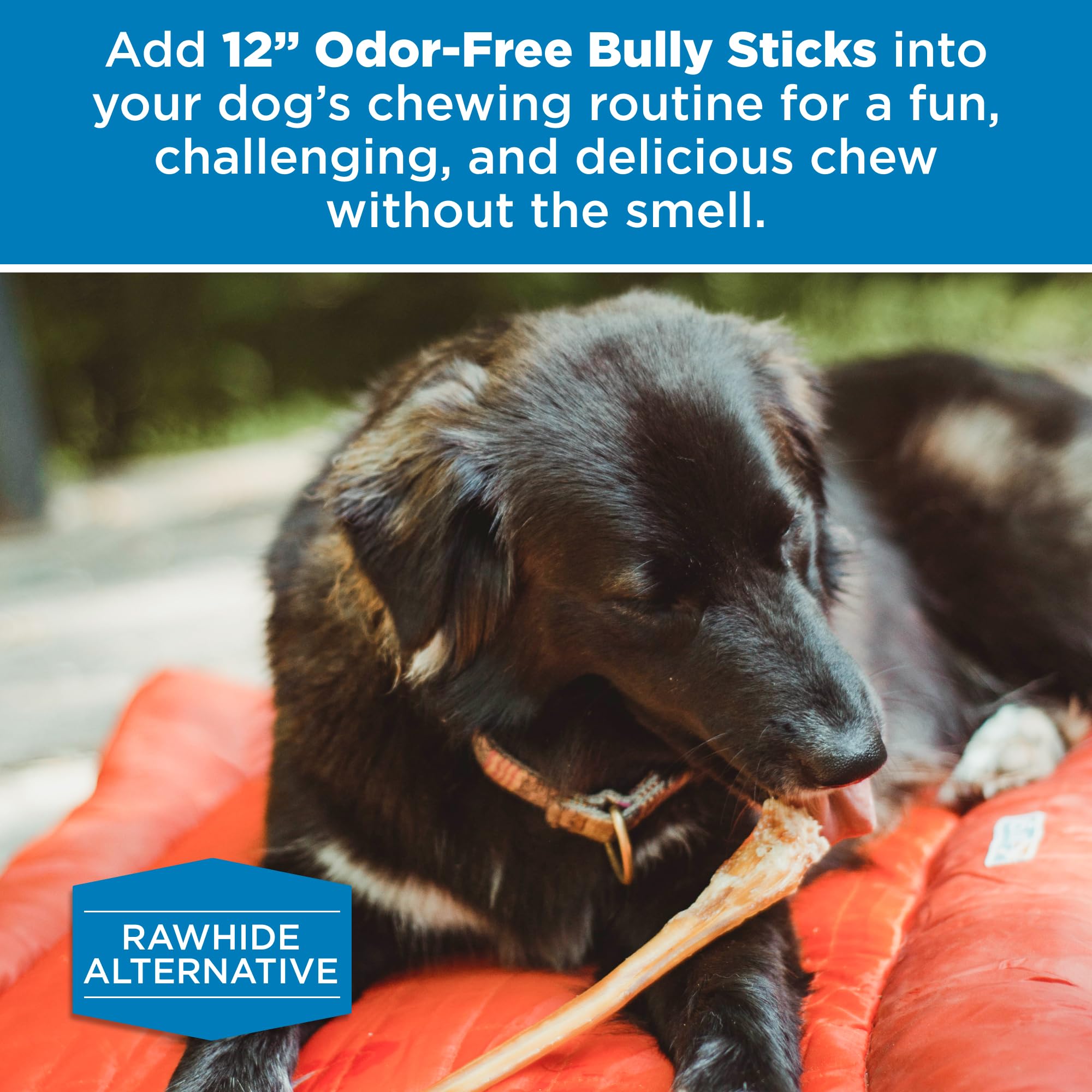 Best Bully Sticks sin conservantes artificiales, opción natural de snack diario.