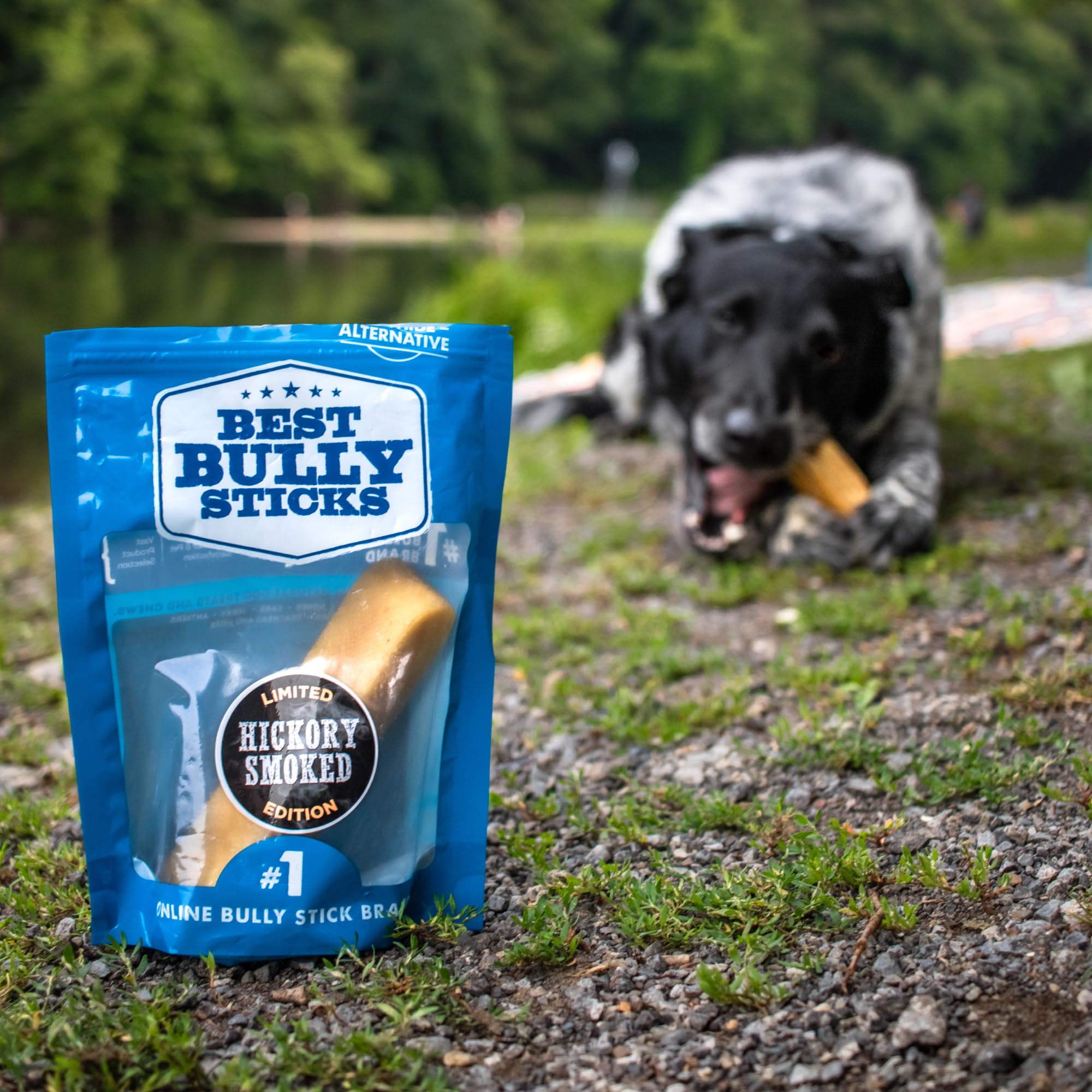 Best Bully Sticks sin cuero crudo, alternativa segura