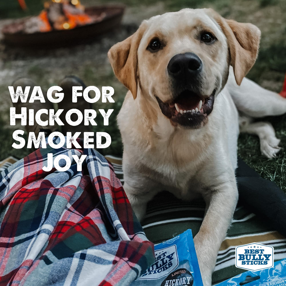 Best Bully Sticks uso diario, snack prolongado para perros