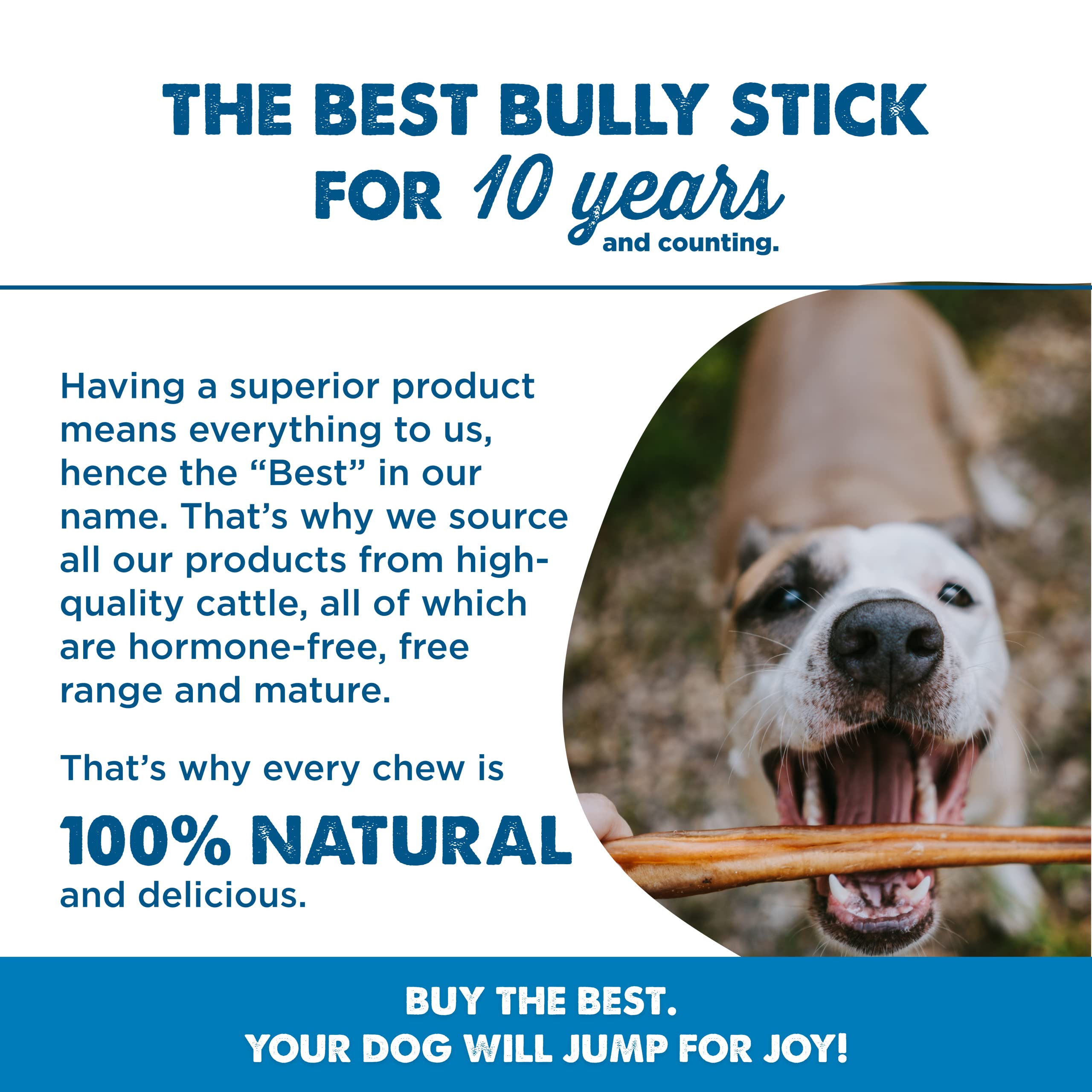 Best Bully Sticks: uso diario para perros pequeños y masticadores ligeros