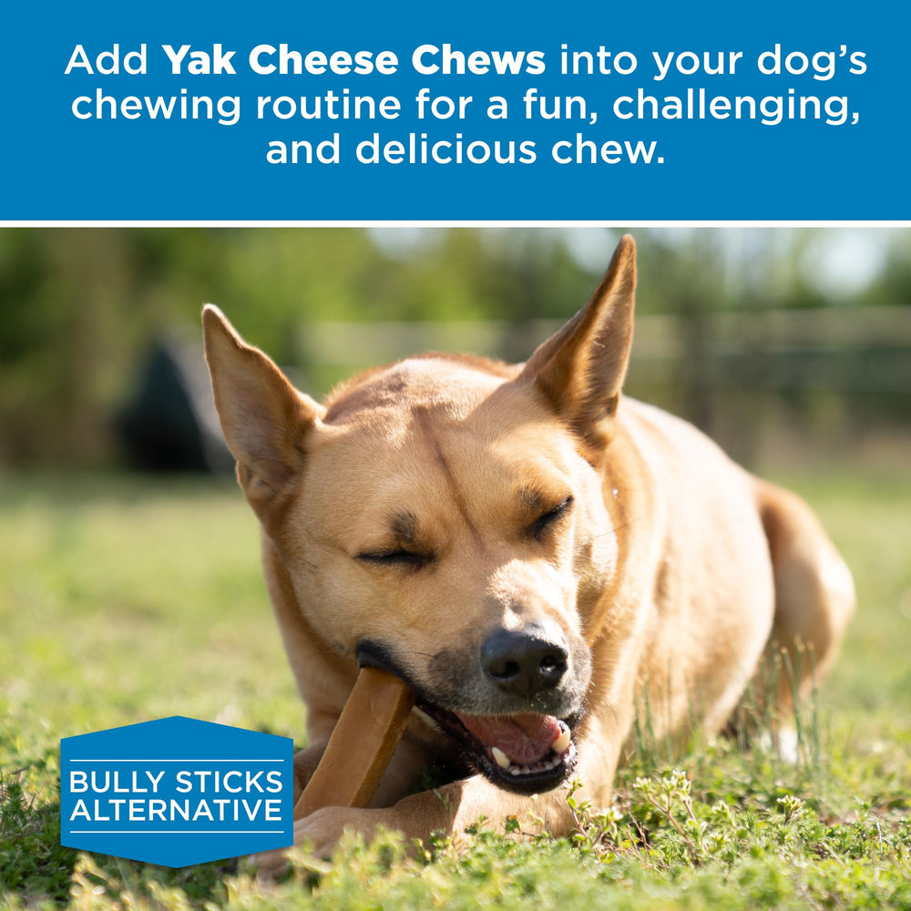 Best Bully Sticks Queso de Yak Himalayo, perfecto para entrenamientos