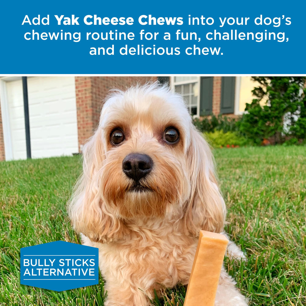 Best Bully Sticks Queso de Yak Himalayo, presentación práctica para guardar y repartir