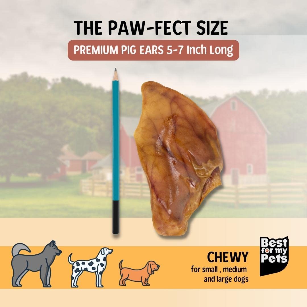 Best For My Pets orejas de cerdo para perros grandes con dientes sanos y aliento fresco