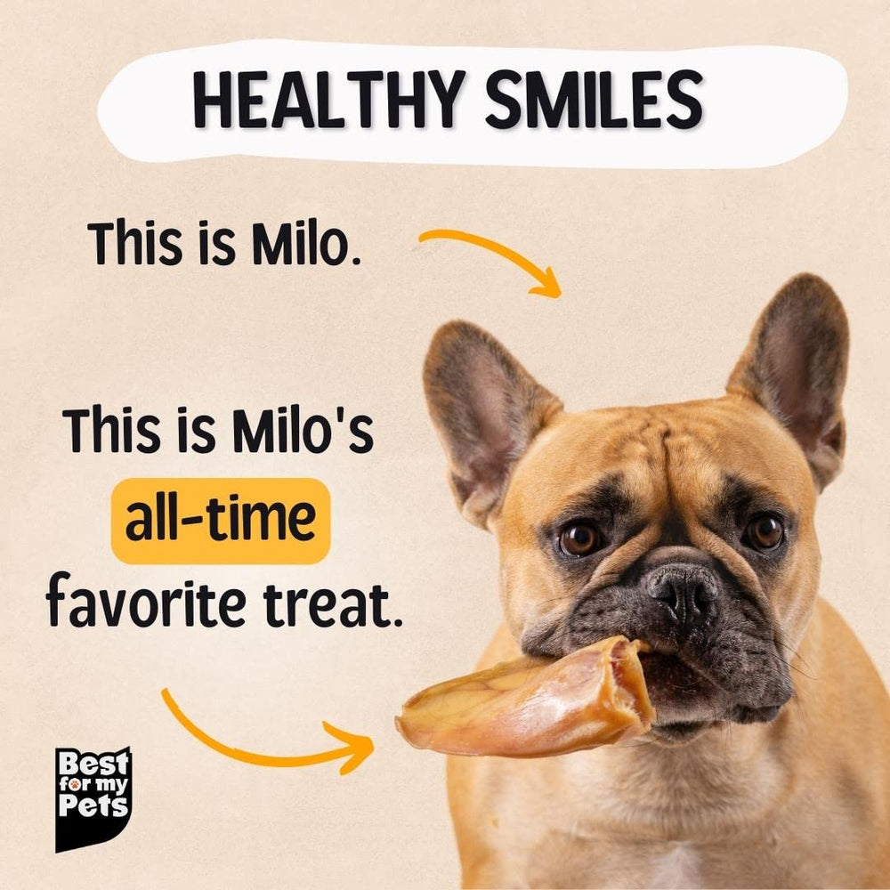 Best For My Pets orejas de cerdo para perros grandes ingrediente único y natural