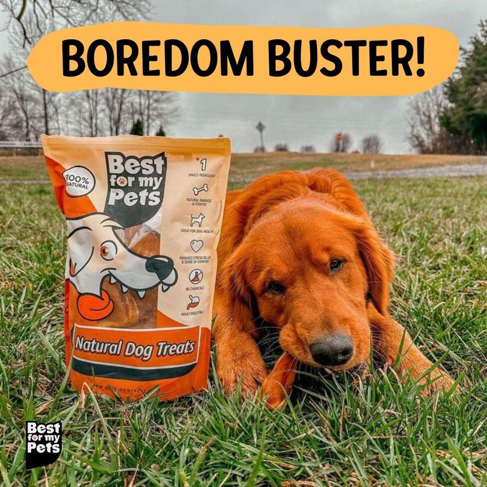 Best For My Pets orejas de cerdo para perros grandes sin conservantes ni aditivos