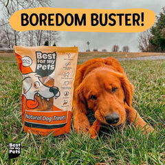Best For My Pets orejas de cerdo para perros grandes sin conservantes ni aditivos