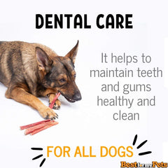 Best For My Pets Tripe Sticks para cachorros, mordida segura y sabrosa