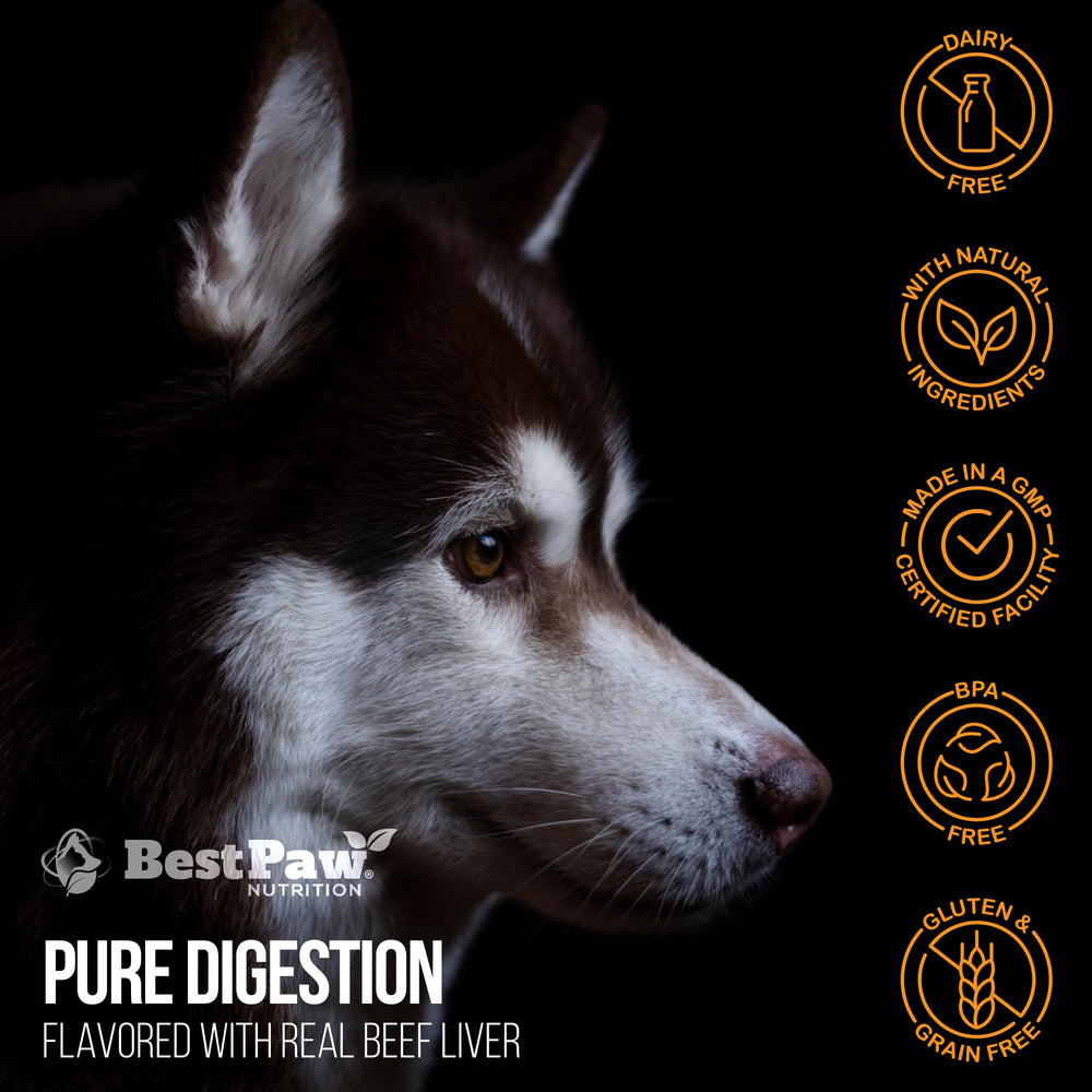 Best Paw Nutrition cuidado piel pelo articulaciones mejora bienestar general