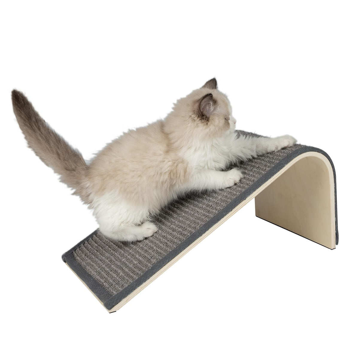 Best Pet Supplies Catify rascador-gatos-interactivo mejora el juego y afila las uñas