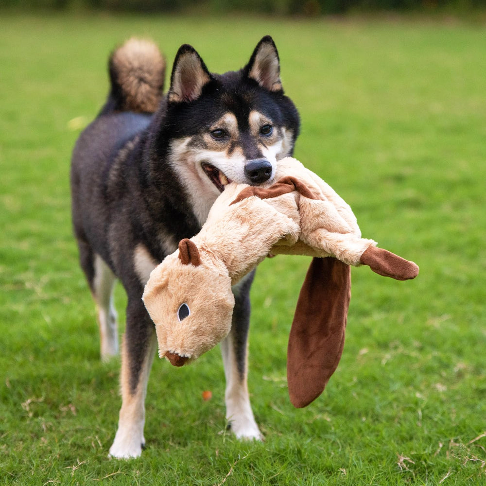 Best Pet Supplies Juguete no apto para masticadores agresivos.