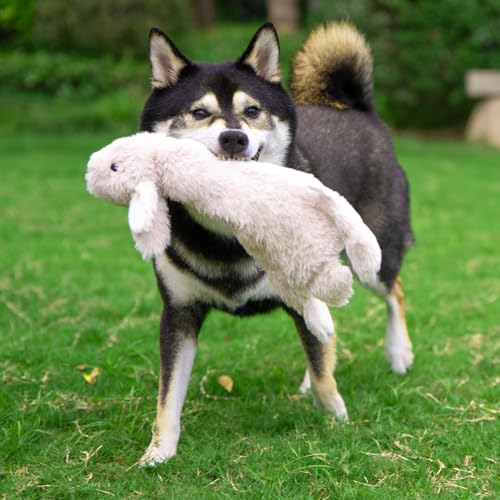 Best Pet Supplies Juguete ideal para uso en interiores, reduce el desorden.