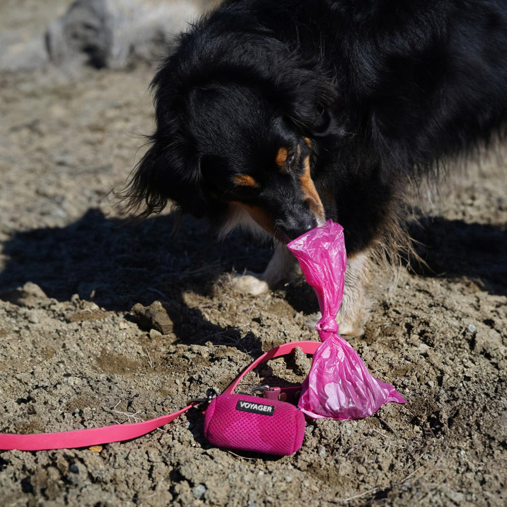 Best Pet Supplies servicio al cliente y calidad confiable, soporte rápido