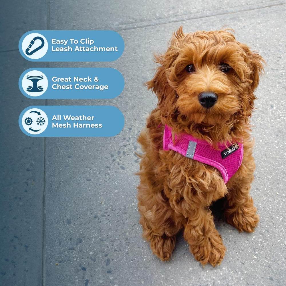 Best Pet Supplies Voyager arnés ligero de malla para clima cálido