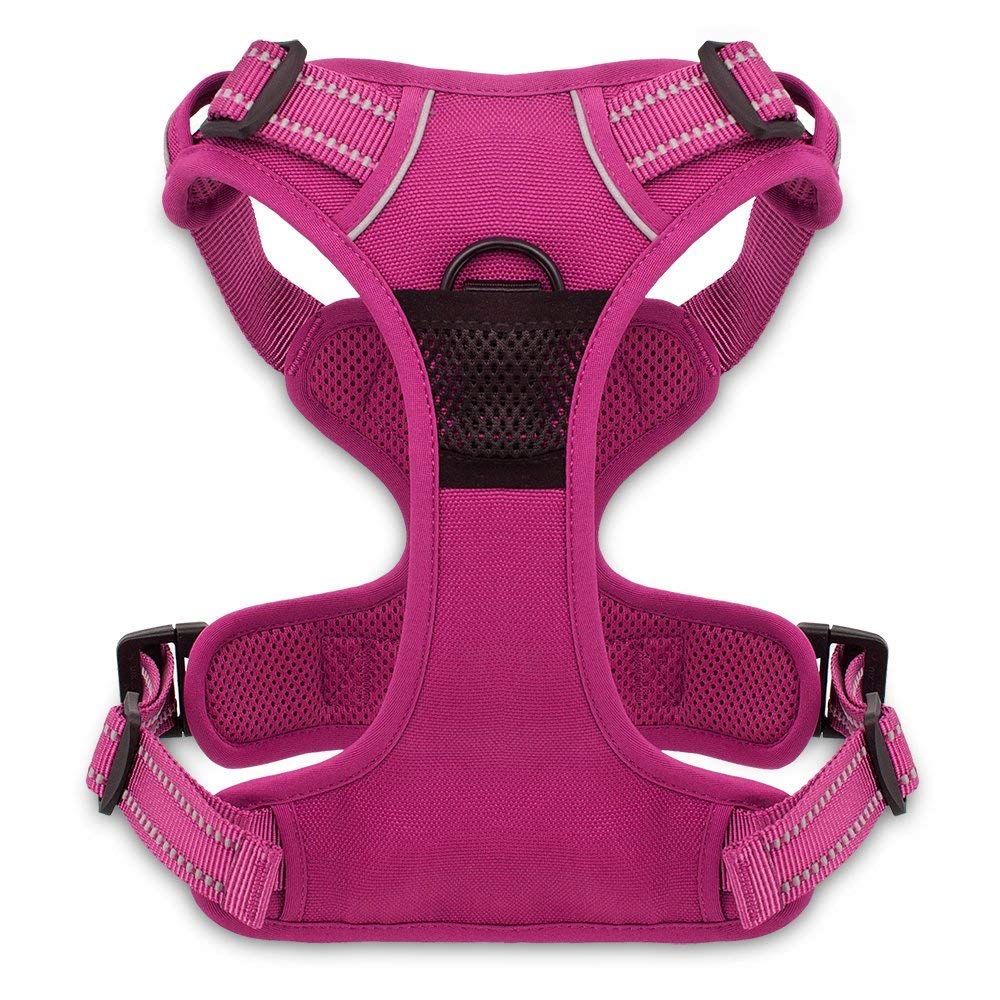 Voyager arnés para perro dorso, diseño cómodo para senderismo