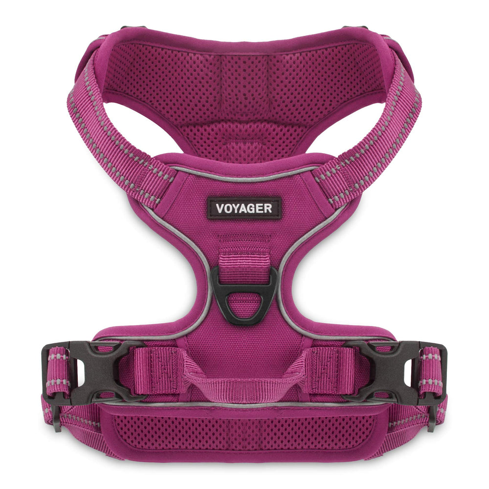 Voyager arnés para perro frente, ideal para paseos seguros y control