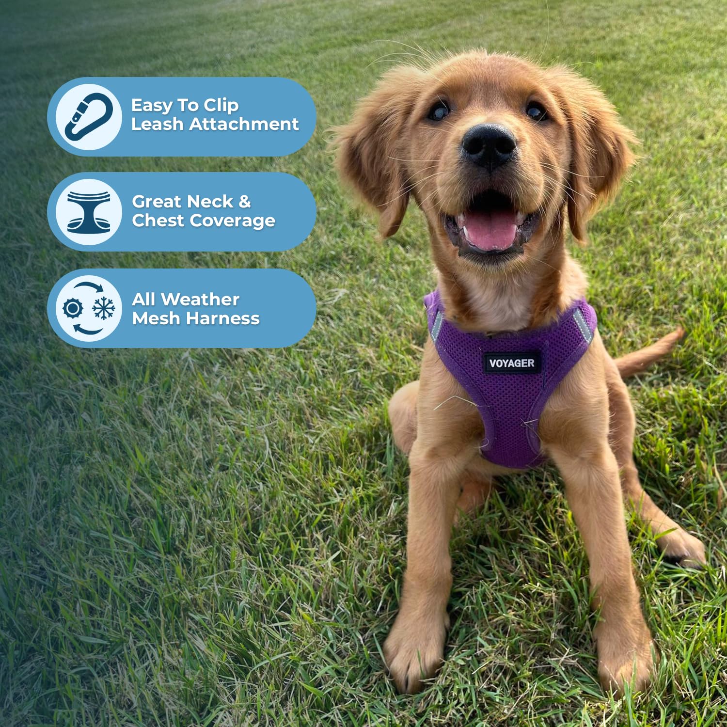 Best Pet Supplies Voyager Step-in Air Harness con bandas reflectivas para mayor visibilidad.