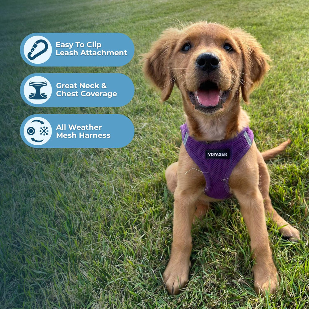 Best Pet Supplies Voyager Step-in Air Harness con bandas reflectivas para mayor visibilidad.