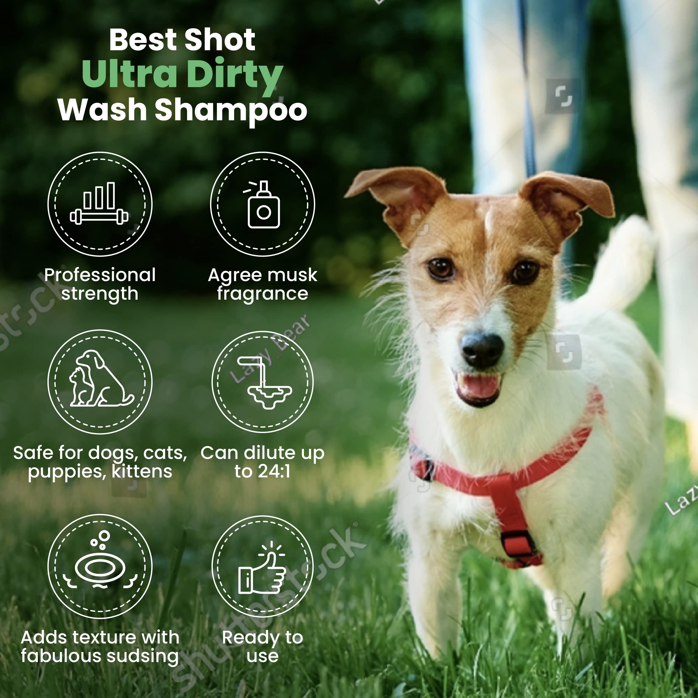 Best Shot Ultra Dirty Wash Shampoo, piel sensible protegida con fórmula equilibrada.