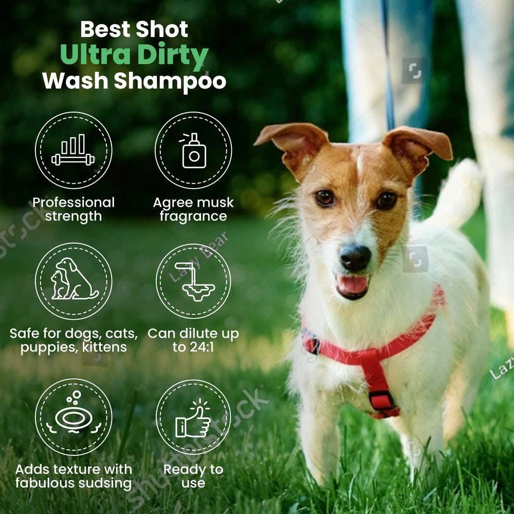 Best Shot Ultra Dirty Wash Shampoo, piel sensible protegida con fórmula equilibrada.