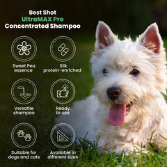 Best Shot Ultramax Pro 4-en-1 champú, pelo grueso, dilución 30:1 para desengrasar suave.