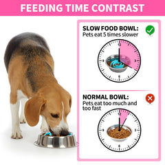 Bestalk ventosas fijas mantienen estable el inserto durante la comida.
