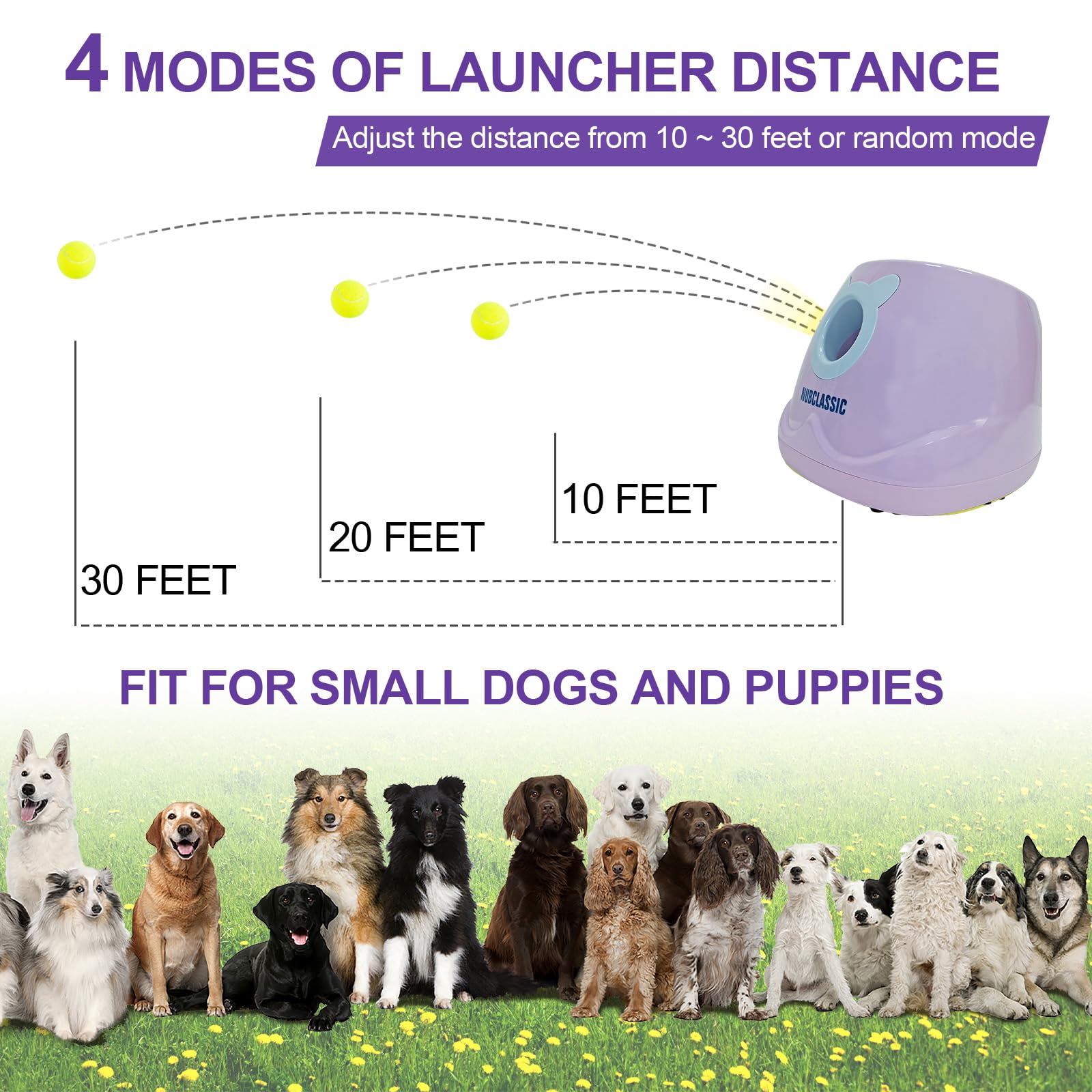 BESTHLS uso interior y exterior del lanzador para perros