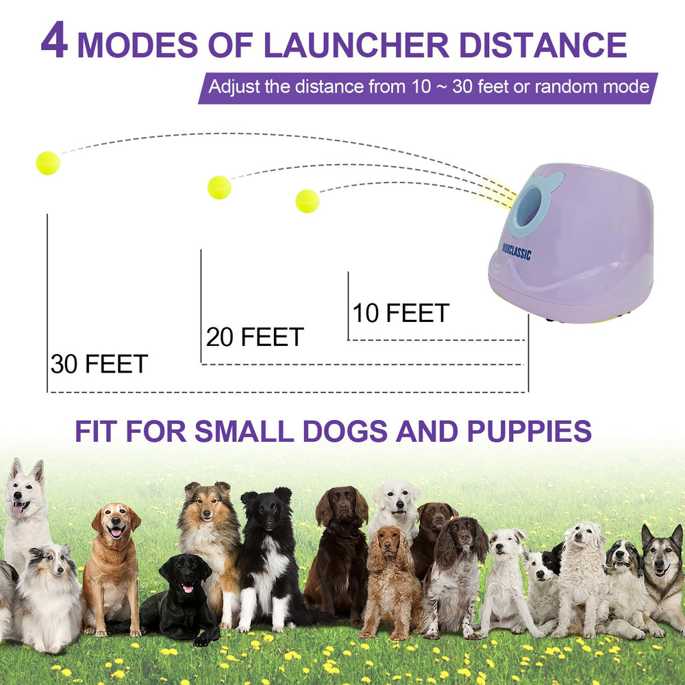 BESTHLS uso interior y exterior del lanzador para perros