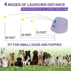 BESTHLS uso interior y exterior del lanzador para perros