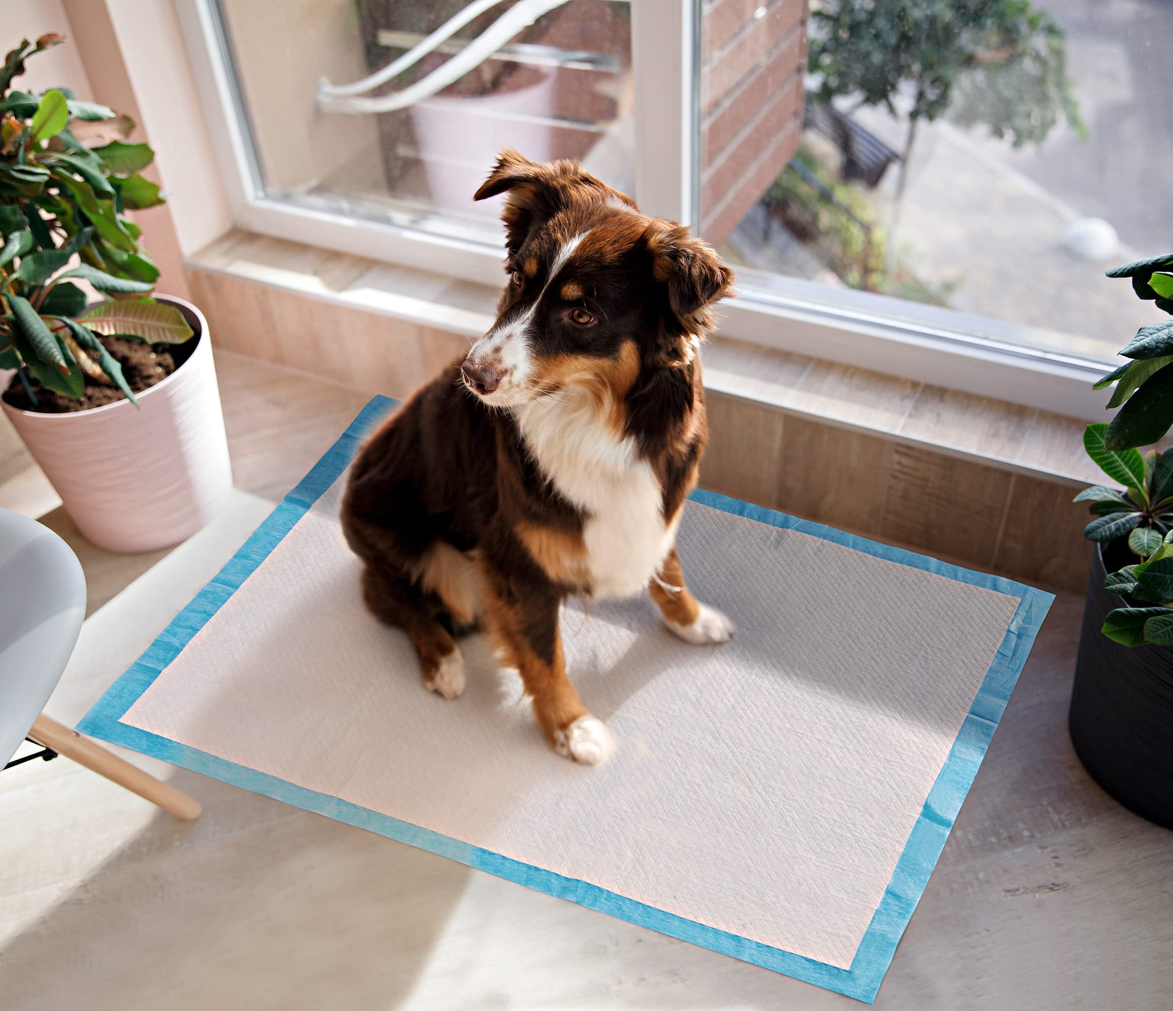 Bestle capa impermeable protege suelos y alfombras reduciendo derrames