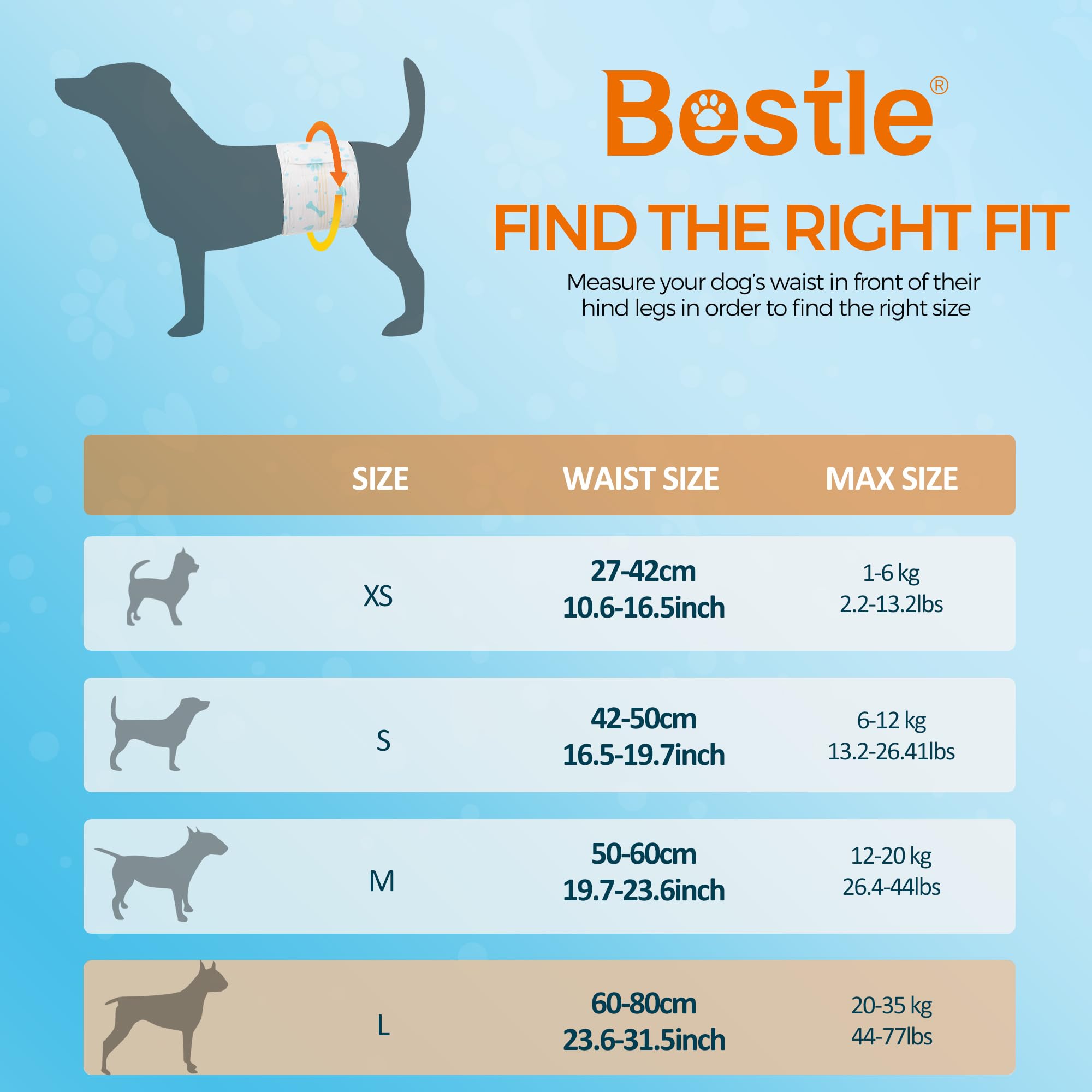 Bestle wrap absorbe rápido y mantiene seco al perro durante paseos