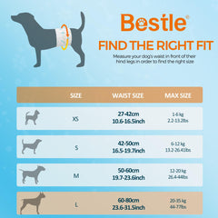 Bestle wrap absorbe rápido y mantiene seco al perro durante paseos