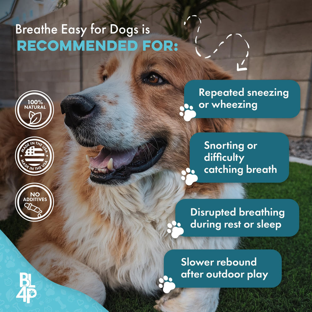BestLife4Pets Breathe Easy: paseo más suave con respiración estable