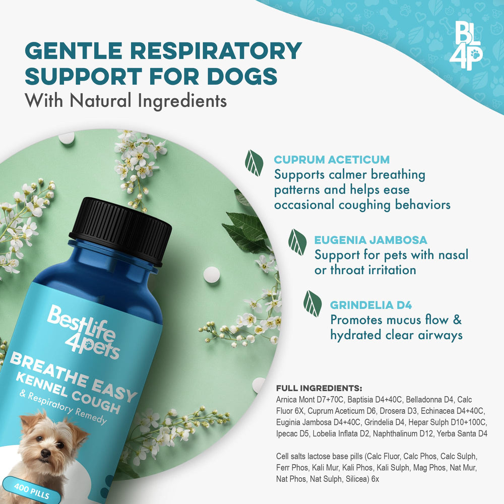 BestLife4Pets Breathe Easy: uso diario sencillo para dueños ocupados