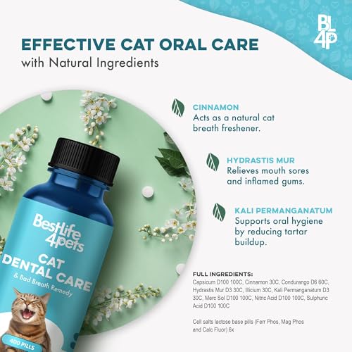 BestLife4Pets: cuidado-bucal-suave, opción natural para higiene diaria del gato.