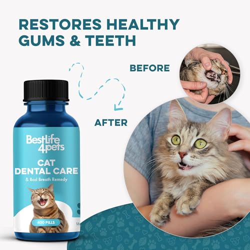 BestLife4Pets: dientes-limpios-gatos, apoyo suave para encías sensibles.