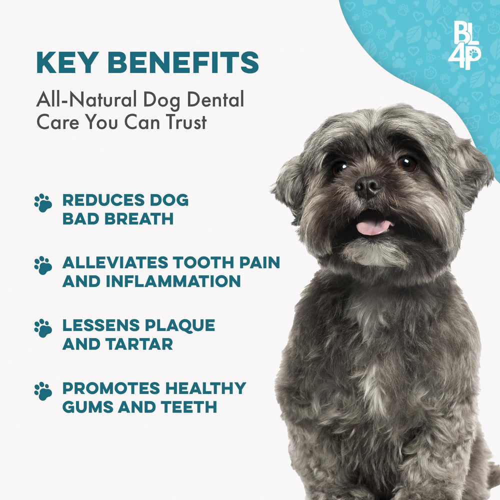 BestLife4Pets-dientes-sanos-perro: sonrisa más limpia y cómoda.