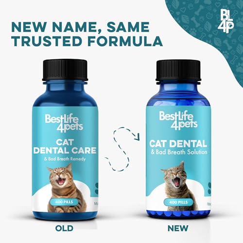 BestLife4Pets: gato-prueba-pastillas, fáciles de mezclar con comida para evitar estrés.