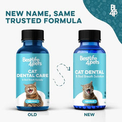 BestLife4Pets: gato-prueba-pastillas, fáciles de mezclar con comida para evitar estrés.