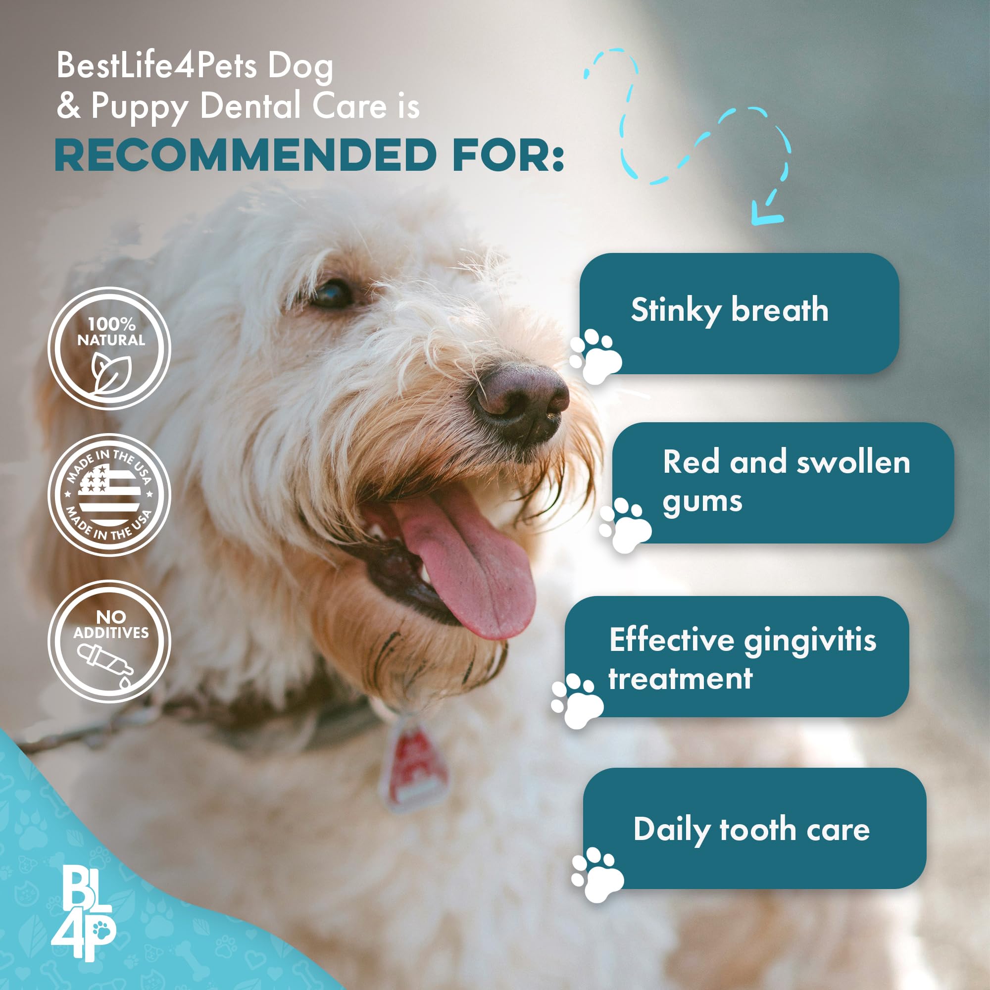 BestLife4Pets-gingivitis-perro-solucion: ayuda a la inflamación de las encías.
