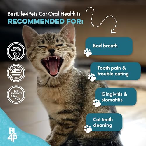 BestLife4Pets: mezcla-con-comida, evita batallas y facilita la higiene dental.