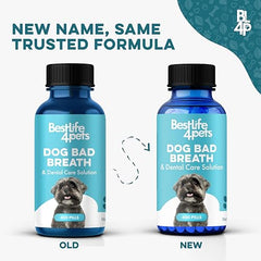 BestLife4Pets-pastillas-sin-olor: pastillas discretas para administración fácil.