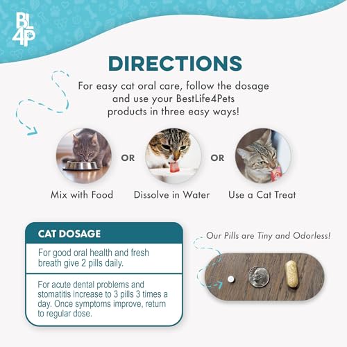 BestLife4Pets: valor-dental-largo-plazo, duración adecuada para varias etapas de vida.
