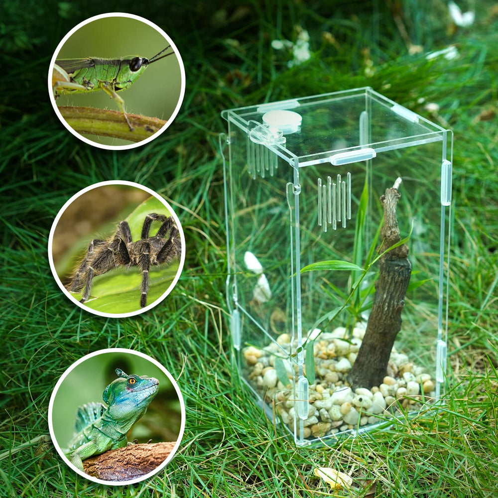 BETAZOOER paredes transparentes, observación sin molestar al animal.
